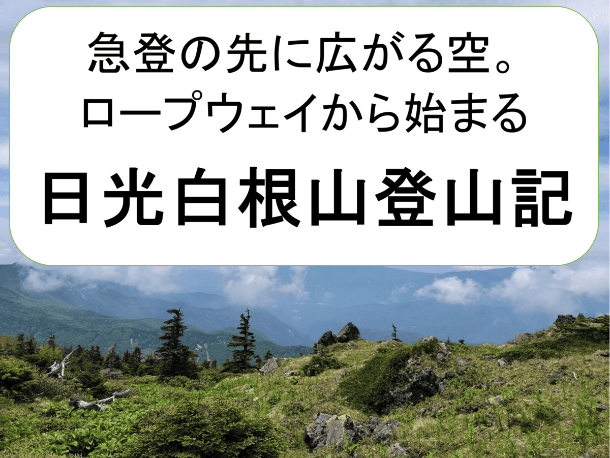 Panoramic view of the forest and sky seen during a hike on Mt. Nikkō-Shirane in early summer