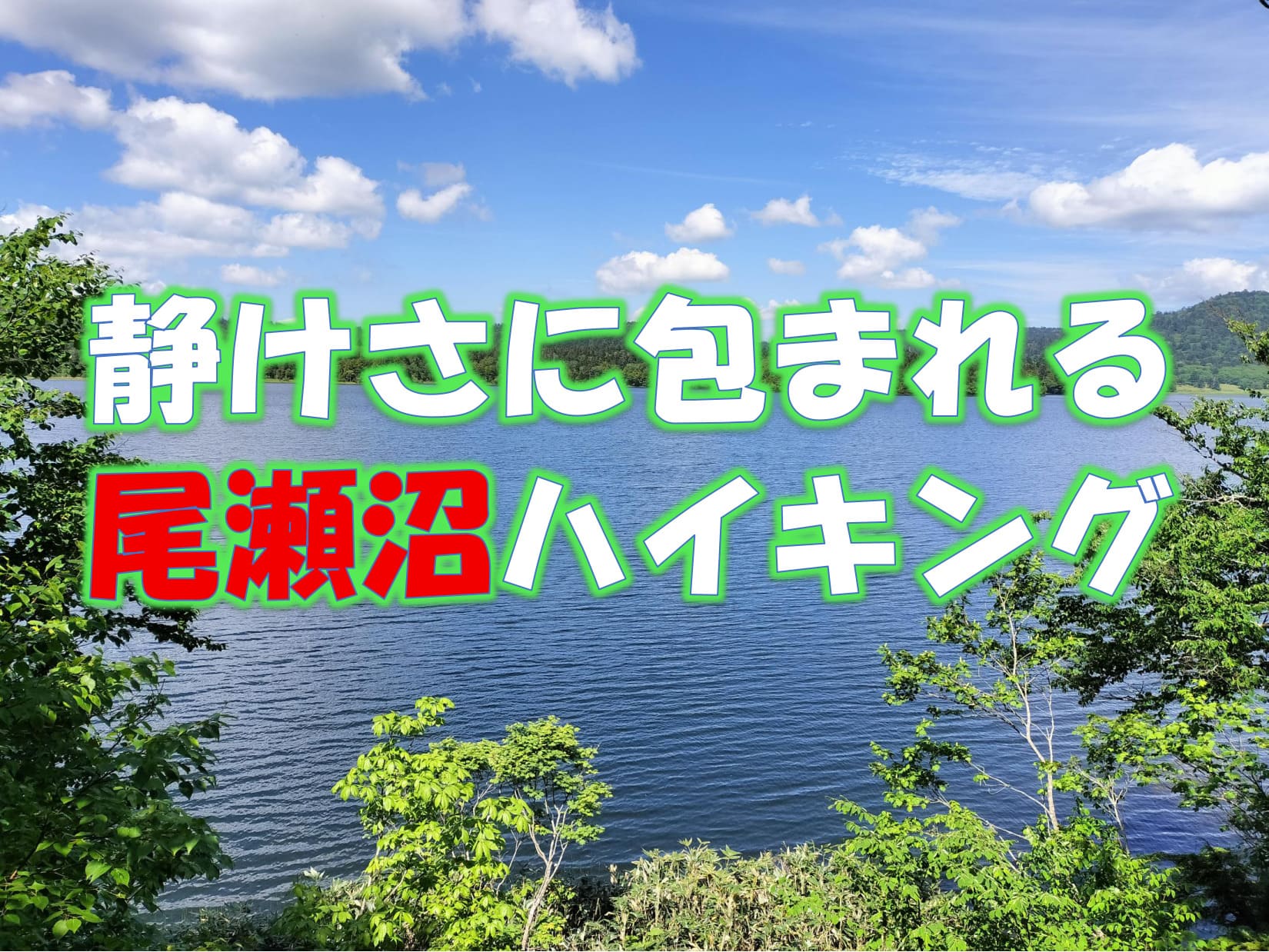 尾瀬沼の木道を歩く登山者と広がる湖畔の景色（2025年6月撮影）