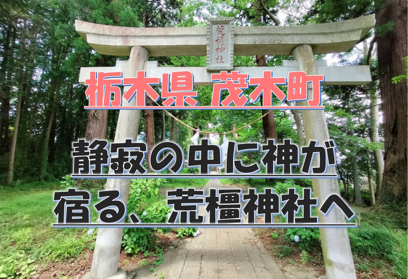 荒橿神社の参道と巨木に囲まれた境内の様子