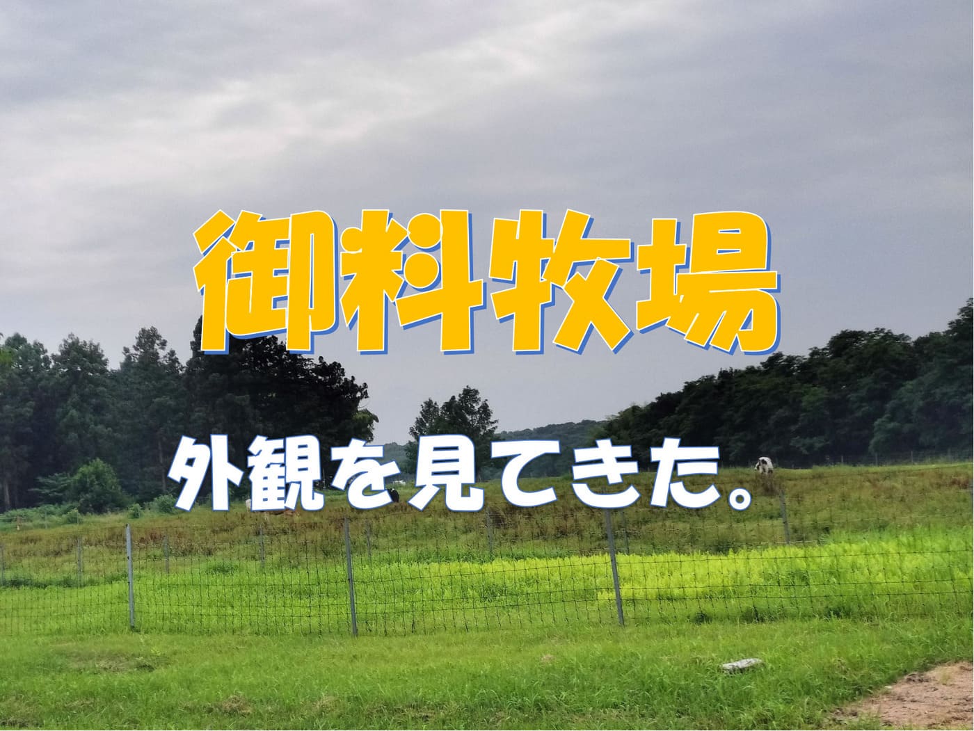 御料牧場の外観と周囲の放牧地を写した高根沢町の風景写真