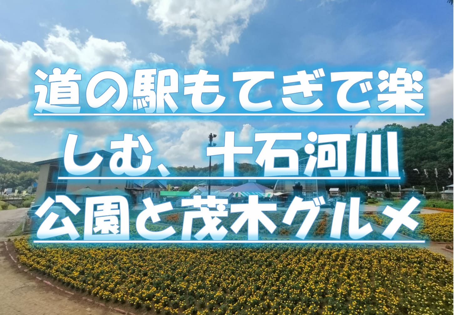 十石河川公園と道の駅もてぎの花と自然｜茂木町の観光スポット