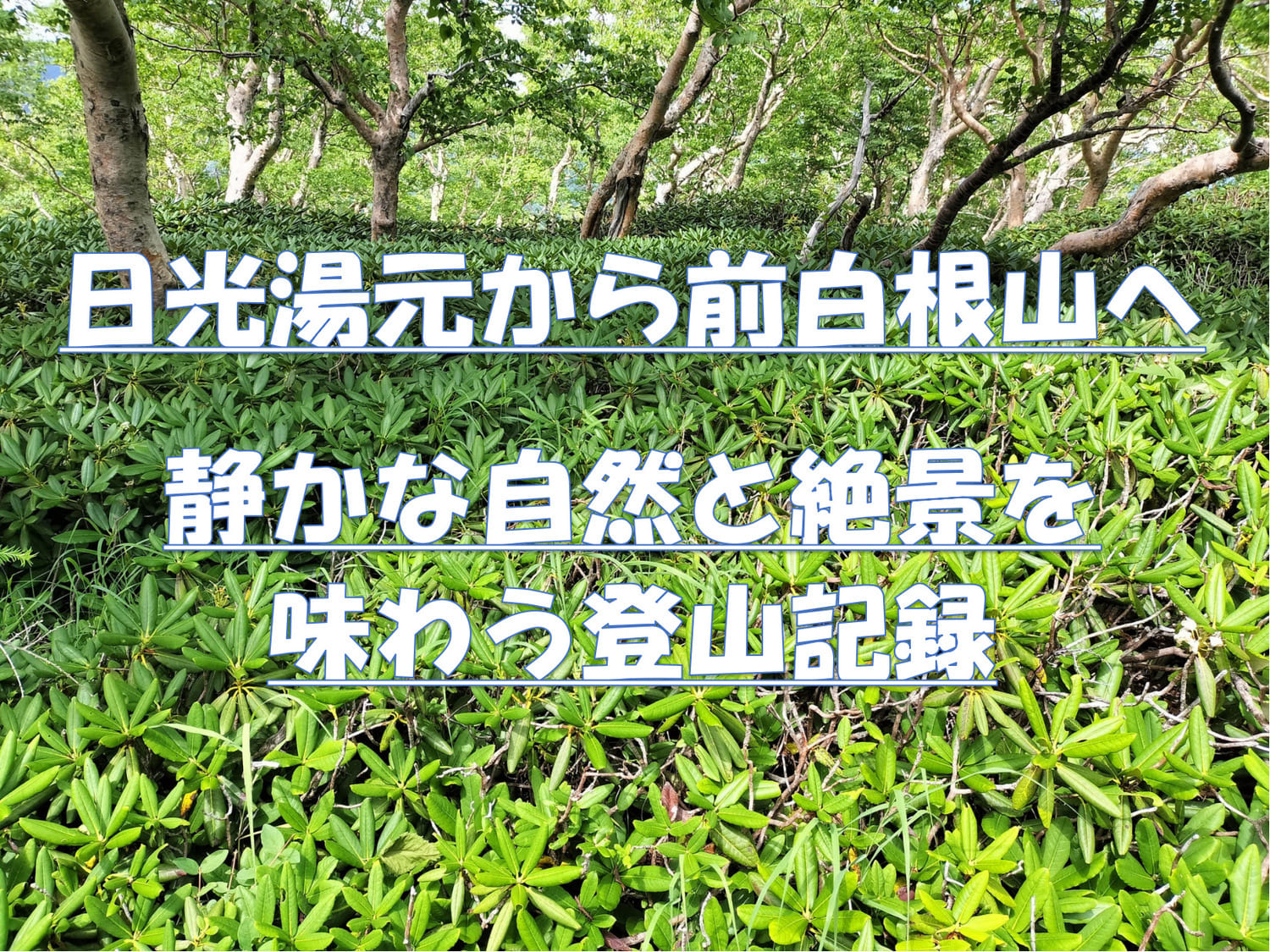 日光湯元温泉から前白根山へ向かう登山ルートと山頂の絶景をイメージしたアイキャッチ画像