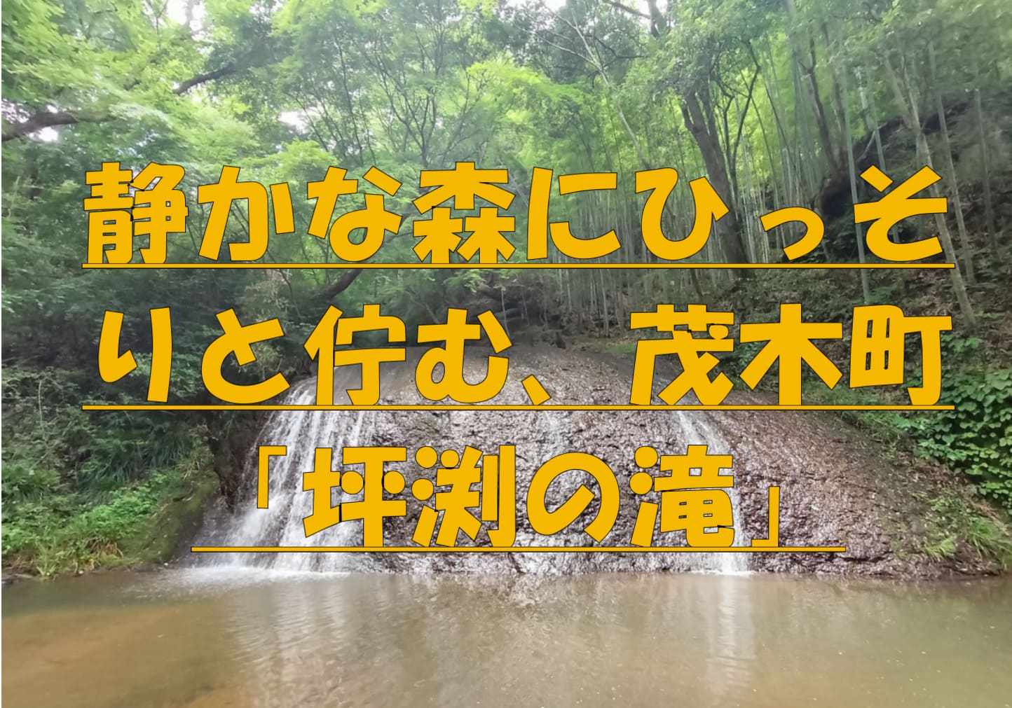 栃木県茂木町 坪渕の滝と緑あふれる森の風景