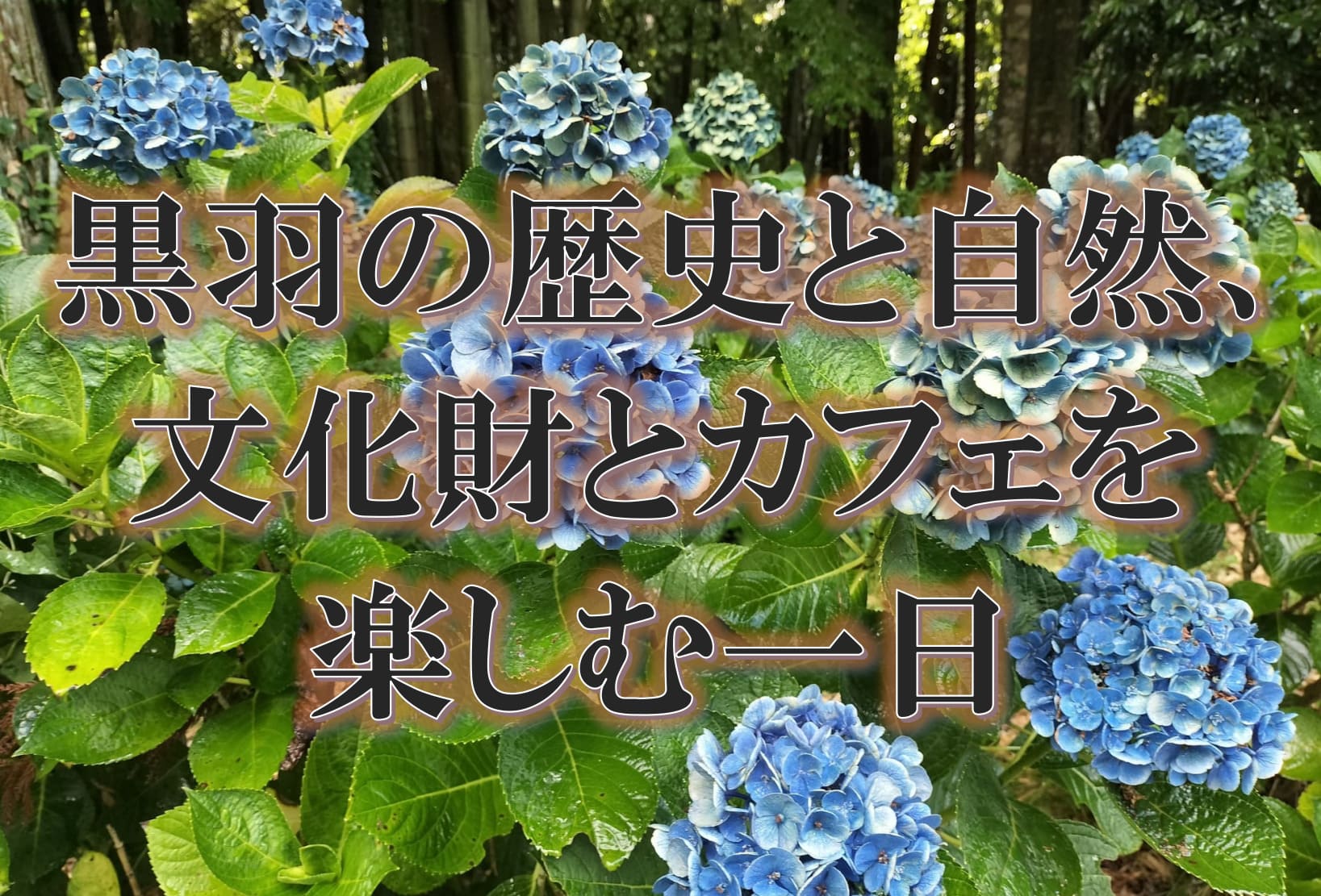 黒羽城址公園のあじさいと芭蕉の館、大雄寺、ひつじ珈琲を巡る旅のイメージ