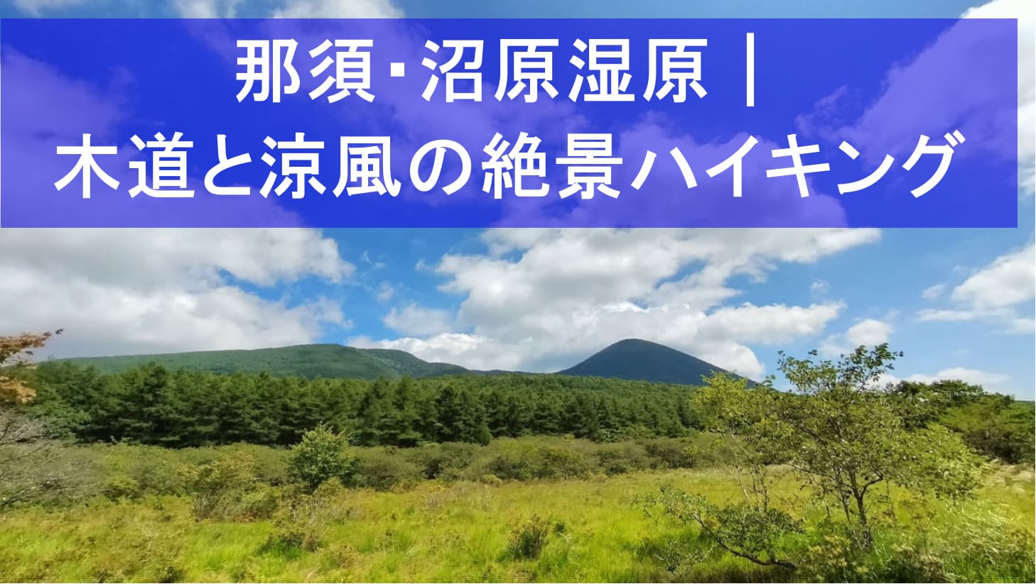 那須・沼原湿原の木道と湿原風景を望むアイキャッチ画像