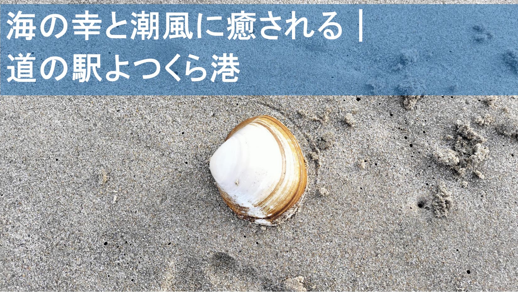 浜辺の砂の上に落ちた大きな貝殻を背景に、「海の幸と潮風に癒される｜道の駅よつくら港」とキャッチコピーを重ねた横長アイキャッチ画像。