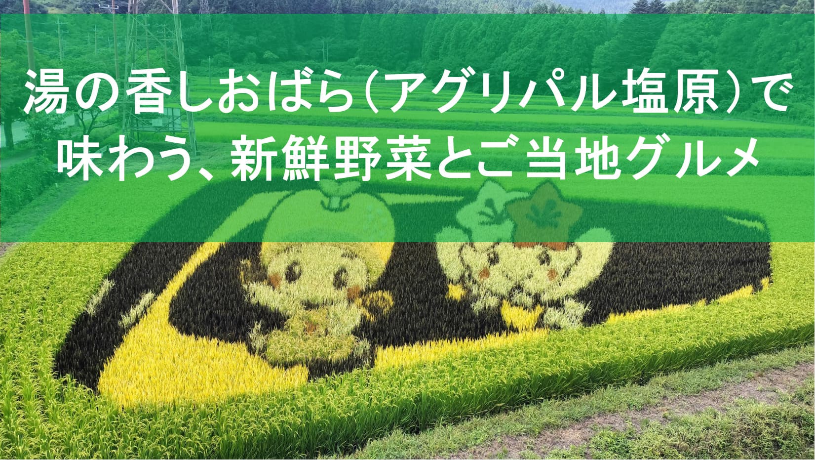 栃木県那須塩原市の道の駅「湯の香しおばら」アグリパル塩原の外観と広場