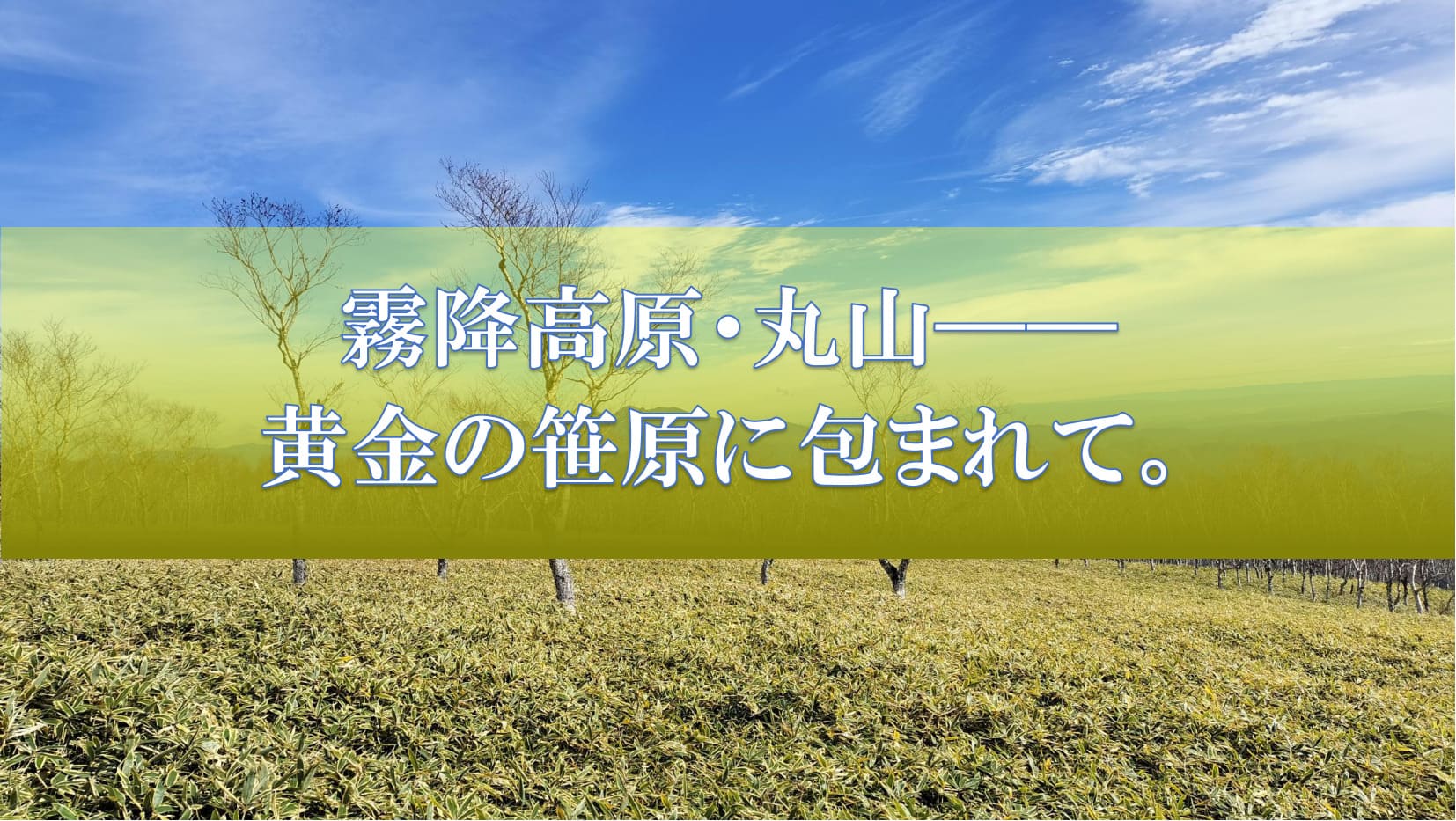 風の音だけが響く、晩秋の道。 　霧降高原・丸山――黄金の笹原に包まれて。