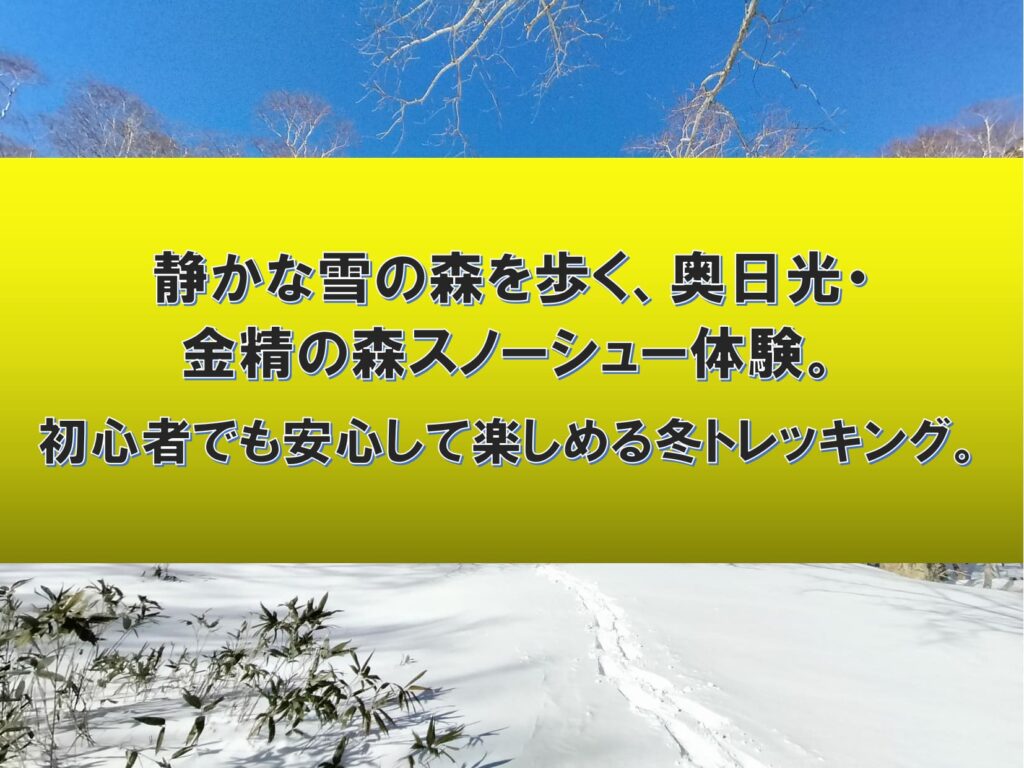 奥日光・金精の森スノーシューコースで冬の森を歩く初心者向けトレッキング体験