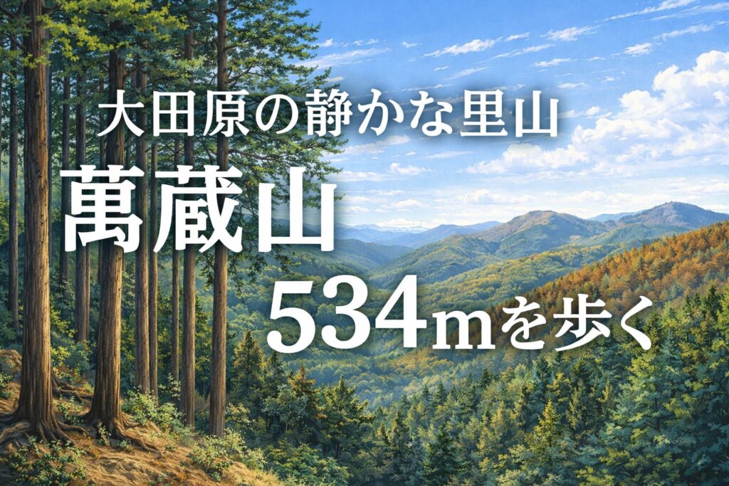 栃木県大田原市の萬蔵山534mを描いたイラスト風里山風景アイキャッチ画像 杉林と青空の風景
